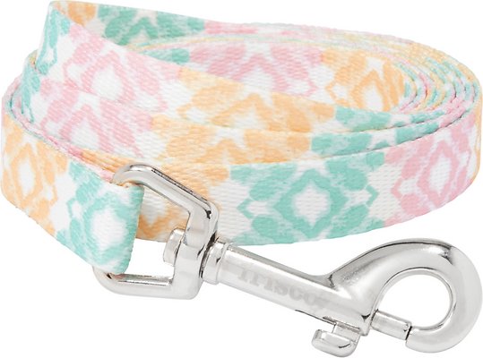 Frisco Pastel Tie Dye Polyester Dog Leash, Small: 6-ft long