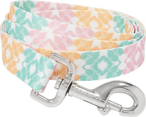 Frisco Pastel Tie Dye Polyester Dog Leash, Large: 6-ft long, 1-in wide