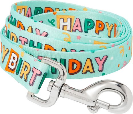 Frisco Happy Birthday Polyester Dog Leash, Large: 6-ft long, 1-in wide