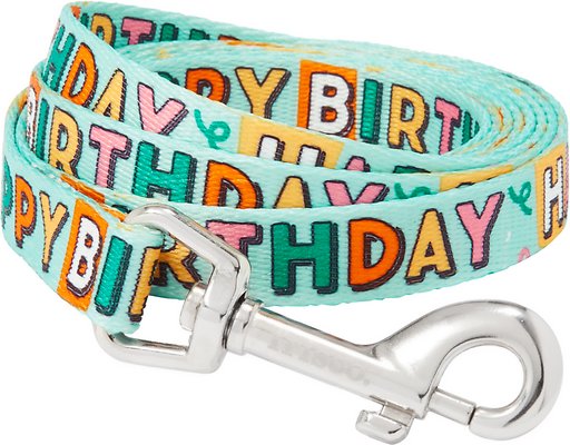 Frisco Happy Birthday Polyester Dog Leash, Small: 6-ft long, 5/8-in wide