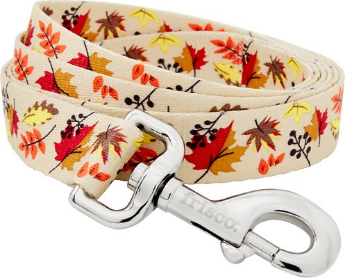 Frisco Leaves Polyester Dog Leash, Large: 6-ft long, 1-in wide