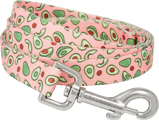 Frisco Avocado Dog Leash, MD - Length: 6-ft, Width: 3/4-in