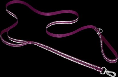 Frisco Outdoor Nylon Reflective Comfort Padded Dog Leash, Boysenberry Purple, Large - Length: 6-ft, Width: 1-in