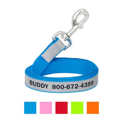 Frisco Solid Polyester Personalized Reflective Dog Leash, Large: 6-ft long, 1-in wide, Blue