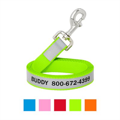 Frisco Solid Polyester Personalized Reflective Dog Leash, Lime, Large: 6-ft long, 1-in wide