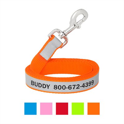 Frisco Solid Polyester Personalized Reflective Dog Leash, Large: 6-ft long, 1-in wide, Orange