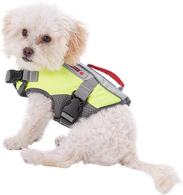 KONG Sport AquaFloat Dog Flotation Vest, Green, XX-Small