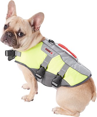 KONG Sport AquaFloat Dog Flotation Vest, Green, Smaller