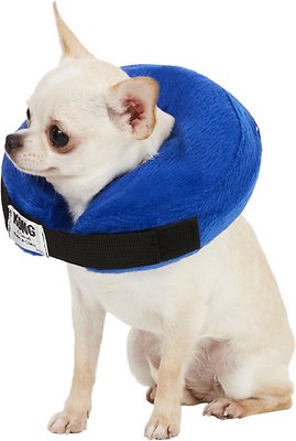 KONG Cloud Collar for Dogs &amp; Cats, X-Small