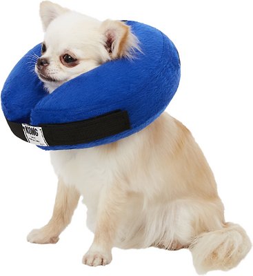 KONG Cloud Collar for Dogs &amp; Cats, Small