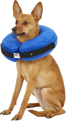 KONG Cloud Collar for Dogs &amp; Cats, Medium