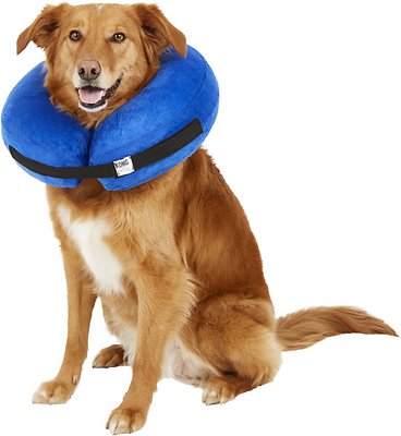 KONG Cloud Collar for Dogs &amp; Cats, Large
