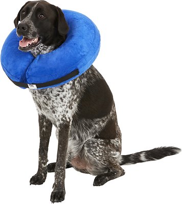 KONG Cloud Collar for Dogs &amp; Cats, X-Large