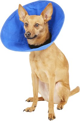 KONG EZ Soft Collar for Dogs &amp; Cats, Small