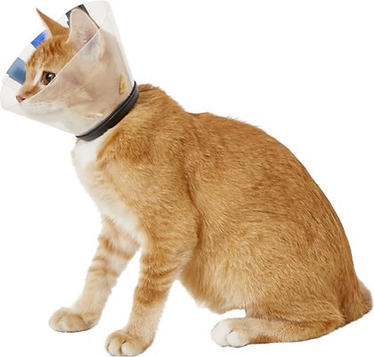 KONG EZ Clear Collar for Dogs &amp; Cats, Small