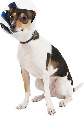 KONG EZ Clear Collar for Dogs &amp; Cats, Medium