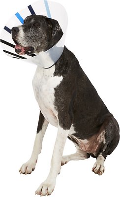 KONG EZ Clear Collar for Dogs &amp; Cats, King