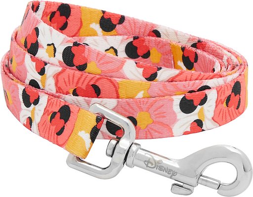 Disney Minnie Mouse Floral Dog Leash, MD - Length: 6-ft, Width: 3/4-in