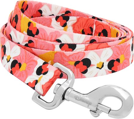 Disney Minnie Mouse Floral Dog Leash, LG - Length: 6-ft, Width: 1-in