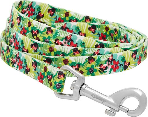 Disney Minnie Hawaiian Dog Leash, SM - Length: 6-ft, Width: 5/8-in