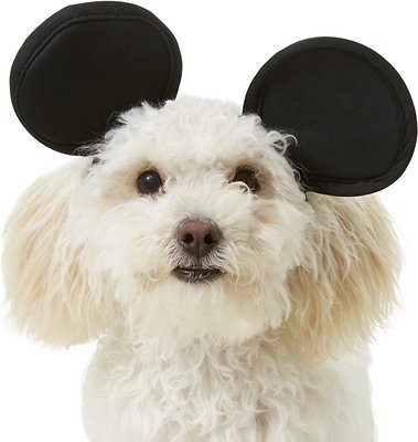 Rubie's Costume Company Mickey Mouse Ears Dog &amp; Cat Costume, Small/Medium