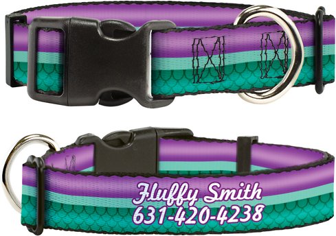 Buckle-Down Disney Little Mermaid Stripe &amp; Shell Polyester Personalized Dog Collar, Medium