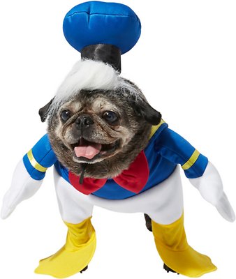 Rubie's Costume Company Walking Donald Duck Dog Costume, Medium
