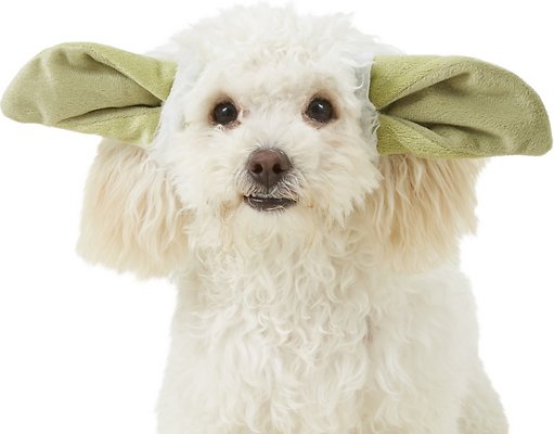 Yoda Ears Dog and Cat Costume, Small and Medium