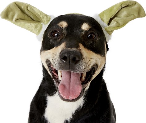 Yoda Ears Dog and Cat Costume
