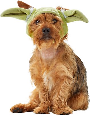 Costume Yoda Ears Cat Costume