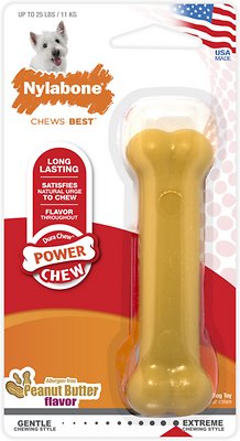 Nylabone DuraChew Peanut Butter Flavored Dog Chew Toy, Regular