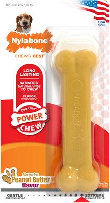 Nylabone DuraChew Peanut Butter Flavored Dog Chew Toy, Wolf