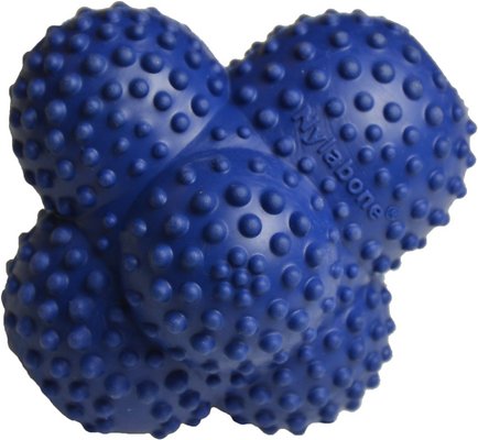 Nylabone Power Play Crazy Ball Dog Toy