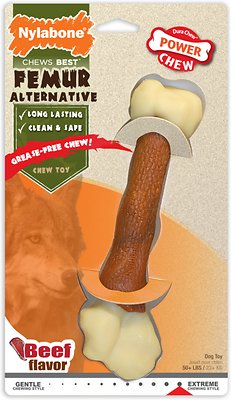 Nylabone DuraChew Femur Bone Alternative Beef Flavored Dog Chew Toy, Souper