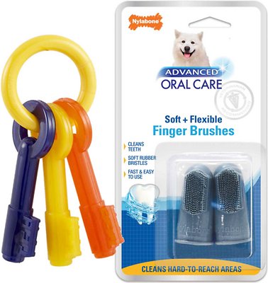 Nylabone Teething Keys Chew Toy + Advanced Oral Care Dog Finger Brush