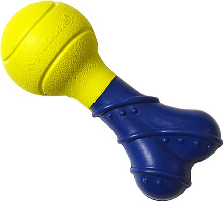 Nylabone Power Play Fetch-a-Bounce Dog Toy