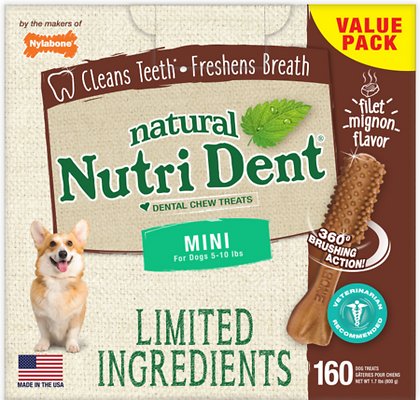 Nylabone Nutri Dent Limited Ingredients Filet Mignon Natural Mini Dental Dog Treats, 160 count, 800g