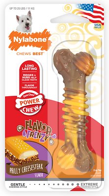 Nylabone DuraChew Flavor Frenzy Cheesesteak Flavored Dog Chew Toy, Regular