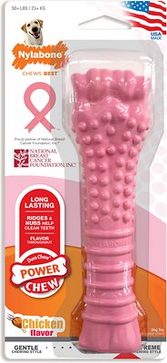 Nylabone Breast Cancer Awareness Pink Power Dog Chew Toy