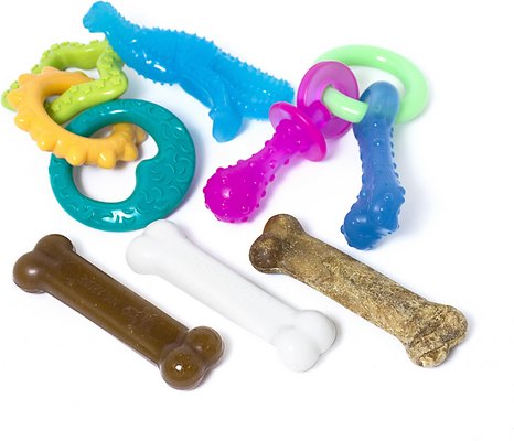 Nylabone Teething Kit &amp; Chew Treat Variety Flavor Starter Kit Puppy Dog Chew Toys