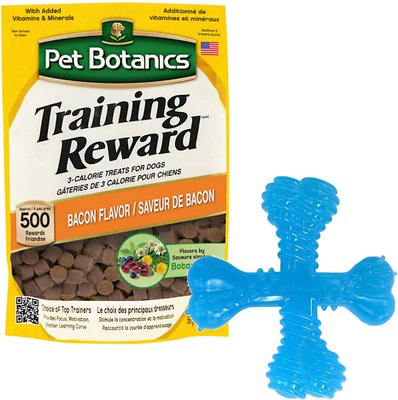 Nylabone Puppy Teething X Bone Beef Flavored Chew Toy + Pet Botanics Training Rewards Bacon Flavor Dog Treats