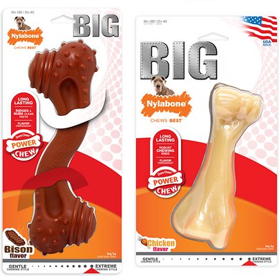 Nylabone Big Power Chew Bison &amp; Chicken Flavored Dog Chew Toy, 2 count