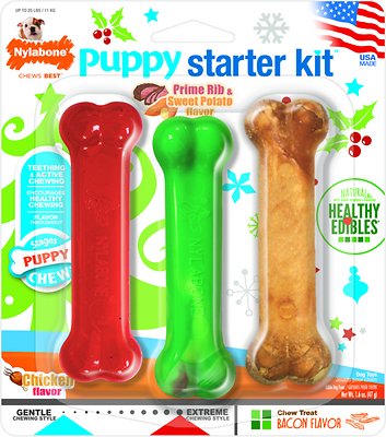 Nylabone Holiday Puppy Starter Kit Dog Toys, 3 count