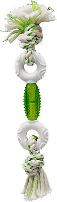 Multipet Canine Clean Dental Tough Dog Chew Toy, Green