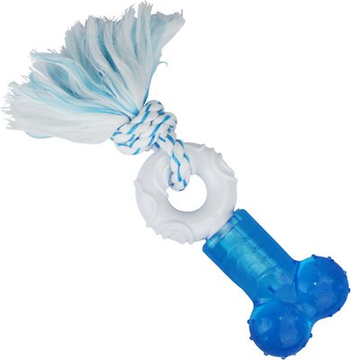 Multipet Canine Clean Mint Bone Rope Tough Dog Chew Toy, Blue