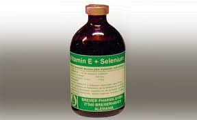 Vitamin E + selenium inj 100ml