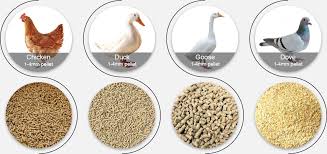 Broiler starter feeds 1kg