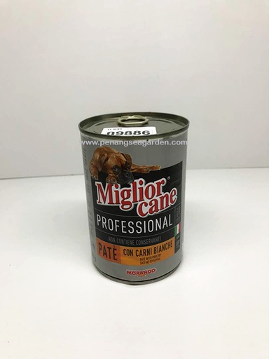 miglior cane proffessional