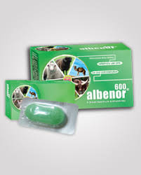 Albenor 600mg bolus oral wormer for veterinary use 20 boli