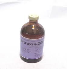 introxin-200